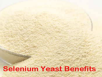 What Are The Health Benefits Of Selenium Yeast?